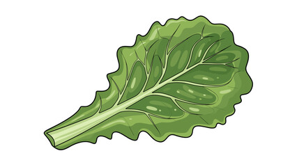Lettuce leaf illustration in vibrant green color showcasing freshness and health
