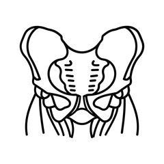 Simplified Human Pelvis Line Art Icon