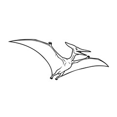 A line drawing of a pterodactyl flying with its mouth open in the air © sumit