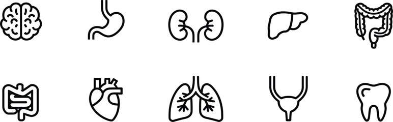 Obraz premium Human Anatomy and Internal Organs Vector Icon Set: Brain, Heart, Lungs, Liver, Digestive System, Outline Signs, Editable Stroke