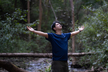 A man is standing in a forest, looking up at the sky