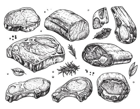 Hand-drawn sketch of various cuts of meat, creating a culinary illustration