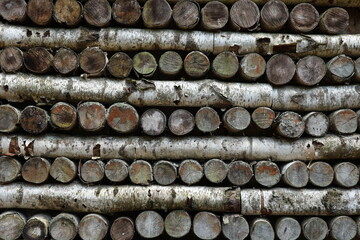 Lots of birch firewood stacked in neat rows with round ends