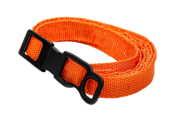 Bright orange nylon strap with black buckle isolated on transparent background. Orange nylon webbing with black clasps isolated on white background.