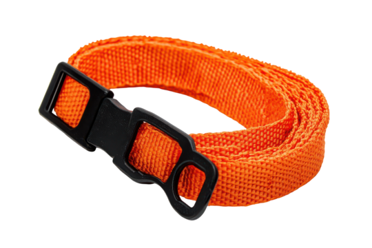Bright orange nylon strap with black buckle isolated on transparent background. Orange nylon webbing with black clasps isolated on white background.