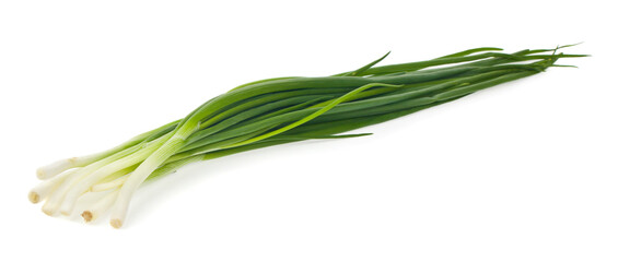 Green onion isolated on white background.