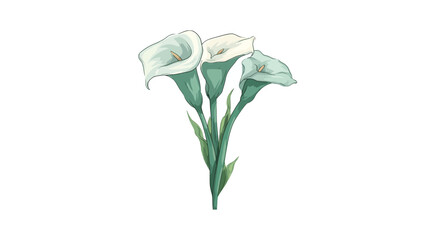 Elegant watercolor illustration of three white calla lilies with green stems and leaves, isolated floral design element