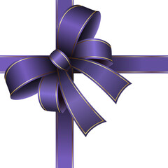 Elegant decorative ribbon bow vector