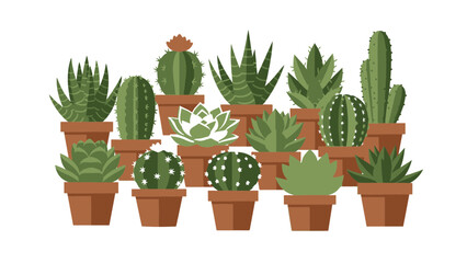 Assortment of various green succulent plants and spiky cacti in terracotta pots, illustrating a charming botanical display ideal for home decor