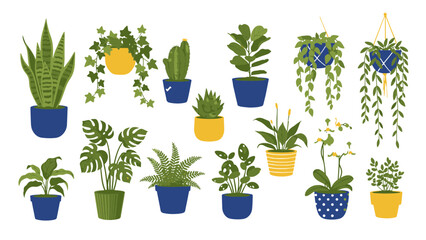 Diverse collection of charming potted houseplants, an engaging illustration showcasing popular indoor botanical varieties perfect for enhancing home decor and natural living spaces