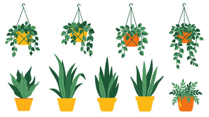 Illustrations of diverse indoor plants, potted and hanging greenery. Ideal for home decor and botanical design elements