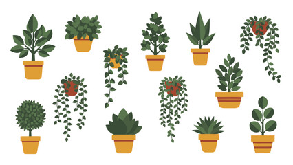 A charming collection of diverse potted houseplants and vibrant indoor greenery presented in a modern flat design illustration style, perfect for home decor and urban gardening projects