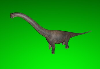 Detailed illustration of a Spinosaurus dinosaur