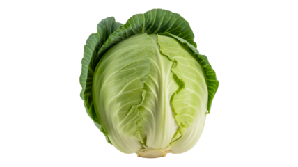 Fresh green cabbage vegetable isolated on transparent background
