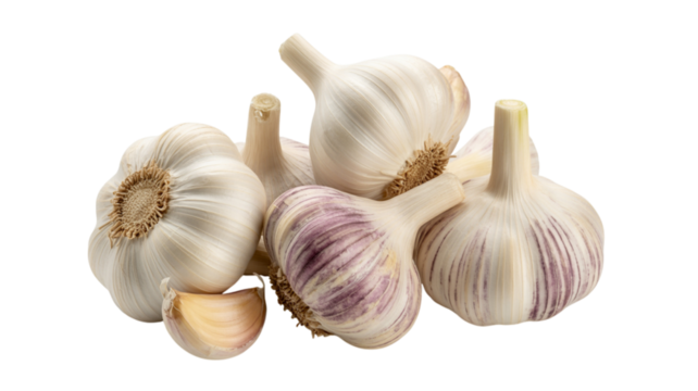 Several fresh garlic bulbs and a single clove isolated on transparent background