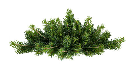 christmas tree with pine tree branches isolated on white