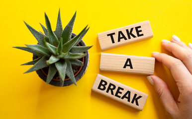 Take a break symbol. Concept words Take a break on wooden blocks with succulent plant. Businessman hand. Beautiful yellow background. Business and Take a break concept. Copy space.