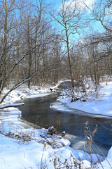 Creek flowing through woods in winter