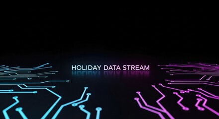 HOLIDAY DATA STREAM