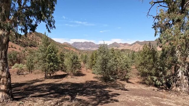 Red Rock Cliffs and Sedimentary Layers Along Brachina Gorge Geological Trail in Flinders Ranges National Park, South Australia