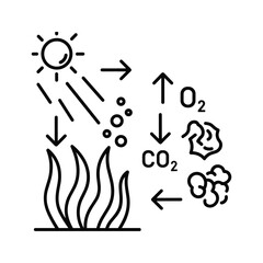Photosynthesis Cycle Illustration: Sun, Plants, CO2 Uptake, O2 Release