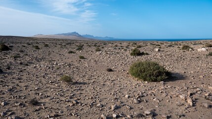 Desert area near La Pared on Fuerteventura island, Canary islands, Spain.