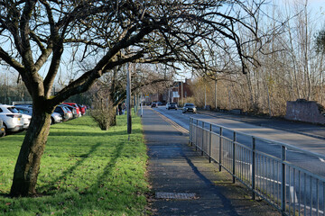 A street scene features a tree casting shadows on grass and pavement beside a road with a railing and parked cars in Heywood - Greater Manchester - UK