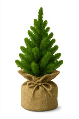 Small Rustic Christmas Tree in Burlap Planter Isolated on Transparent Background for Holiday Display, Seasonal Design Concepts and Holiday Design Projects, Tiny Potted Xmas Tree Wrapped in Burlap, PNG