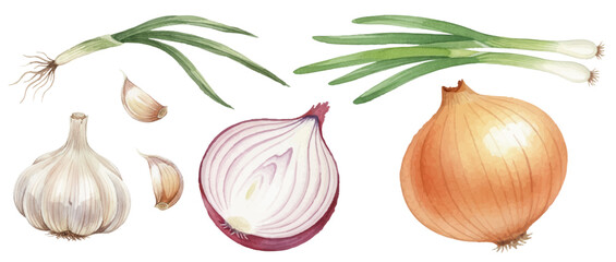 Fresh alliums ollection, including whole and halved red onion, brown onion, bulbs of garlic with cloves, and green scallions. Isolated food ingredients set. Onion and garlic vector illustration.