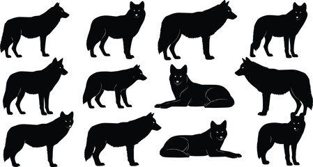 Set of twelve black wolf vector silhouettes showing various standing, walking and lying down poses isolated on white background