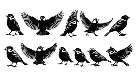 Set of Black and White Sparrow Bird Illustrations, Vector Cutout Collection of Flying and Perched Small Birds, Wildlife and Nature Graphic