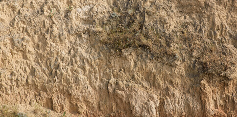A section of a clay or loess cliff showing its textured, loose clay surface.
