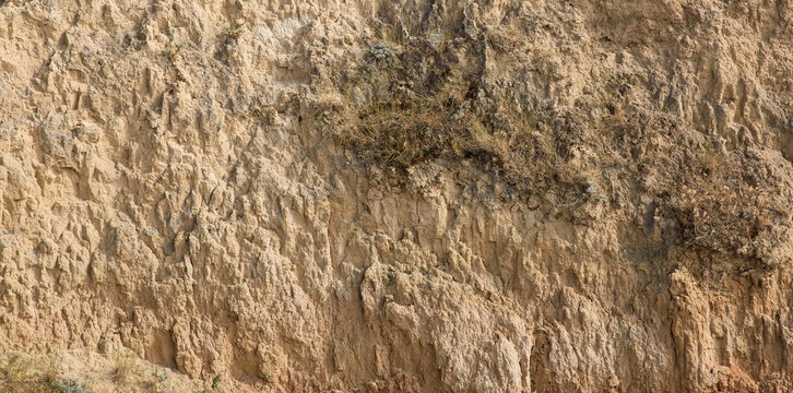 A section of a clay or loess cliff showing its textured, loose clay surface.