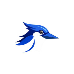 Illustration of a blue jay bird head on white background on transparent background