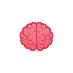 Anatomical brain illustration on a white backdrop on transparent background