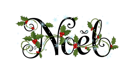 Elegant 'Noel' script adorned with festive holly and sparkling snowflakes.