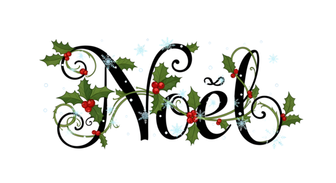 Elegant 'Noel' script adorned with festive holly and sparkling snowflakes.