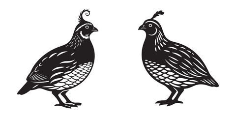 Two birds in a cage, Vintage woodcut pheasant family farm poultry sketch