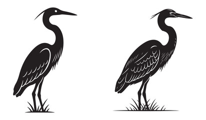 Fototapeta premium Set of black crowned cranes, Heron bird detailed silhouette vector swamp wildlife art