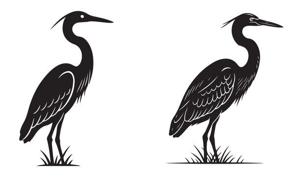 Set of black crowned cranes, Heron bird detailed silhouette vector swamp wildlife art