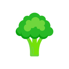Illustration of a green broccoli on a white background on transparent background