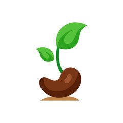 Small plant growing from a seed with green leaves on transparent background