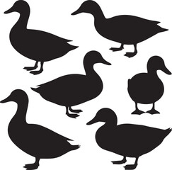 Black silhouette of ducks on white background