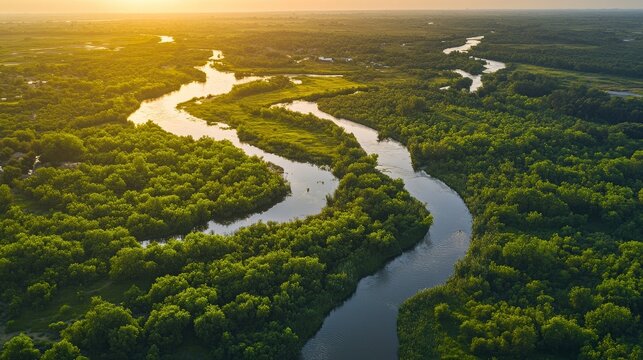 A stunning aerial shot captures a beautiful winding river that is beautifully surrounded by lush, vibrant rainforest - Powered by Adobe