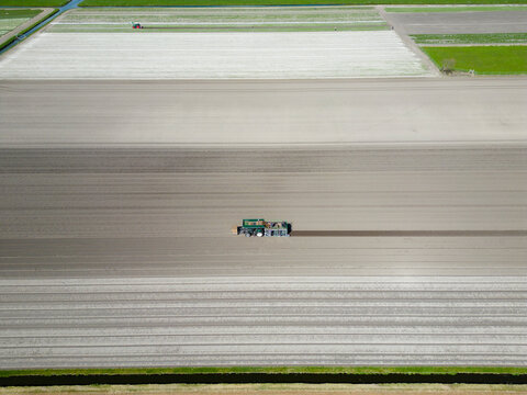 Fototapeta Aerial view of an agricultaral machine for planting tulip bulbs, the Netherlands