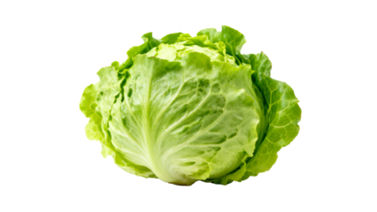 Fresh green lettuce head ready for salads and healthy meals in a kitchen setting