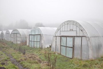 Greenhouses of an organic vegetable farm on a foggy day.