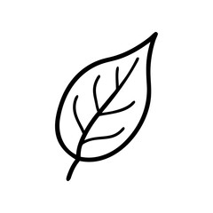 Simple outline drawing of a leaf with veins visible on transparent background