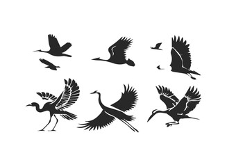 Obraz premium Bird migration icon set featuring goose swallow and crane