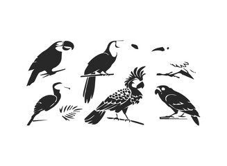 Fototapeta premium Tropical bird faces icon set parrot toucan and more